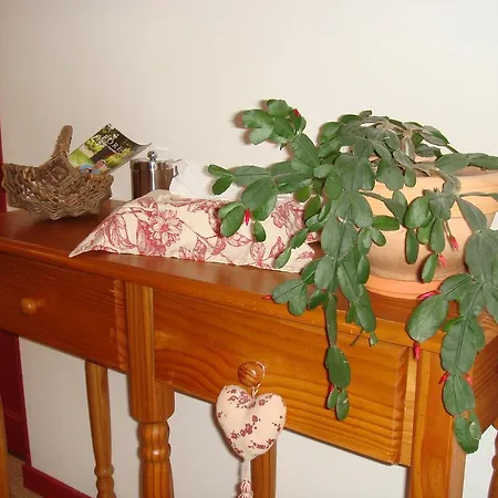 La Maison De Justine Guest house *